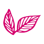5 hoja